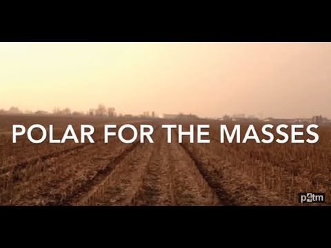 POLAR FOR THE MASSES - Cervelli in fuga