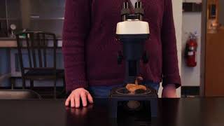 Dissecting Microscope Tutorial