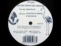 Sounds From The Ground ‎- Triangle
