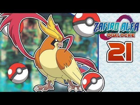 Pokemon Zafiro Alfa DUALOCKE Ep.21 - CAMBIOS NECESARIOS