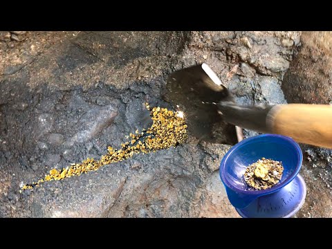 RICHEST layer loaded with GOLD, NUGGET & PICKERS found!