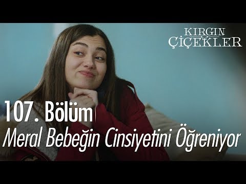Meral bebeğin cinsiyetini öğreniyor - Kırgın Çiçekler 107. Bölüm