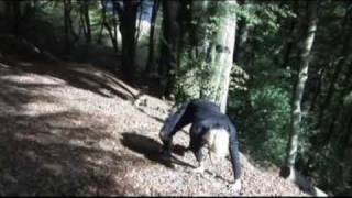 Damaris -  Patrick wolf