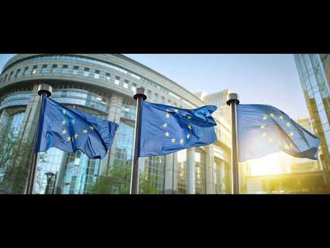 Tagesdosis 01.03.2019 - Europäische Union – Krisenzone ohne Ende (kV)