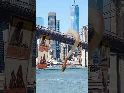 If Maui's looking for his hook, we found it! #Moana2