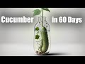 Growing Cucumbers in Water 💦 🥒 Time Lapse