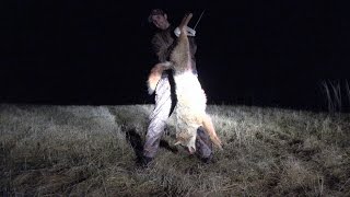John's 2017 Coyote Recovery - Mosquito Creek Coyote Hunt