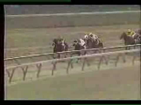 Devil His Due - G1 Wood Memorial