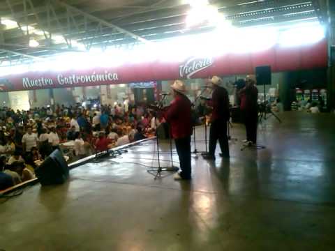 TRIO LOS CAIMANES DE TAMUIN  PRESENTES EN LA FENAPO 2015