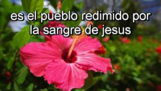 marcos witt - mira nomas - pista