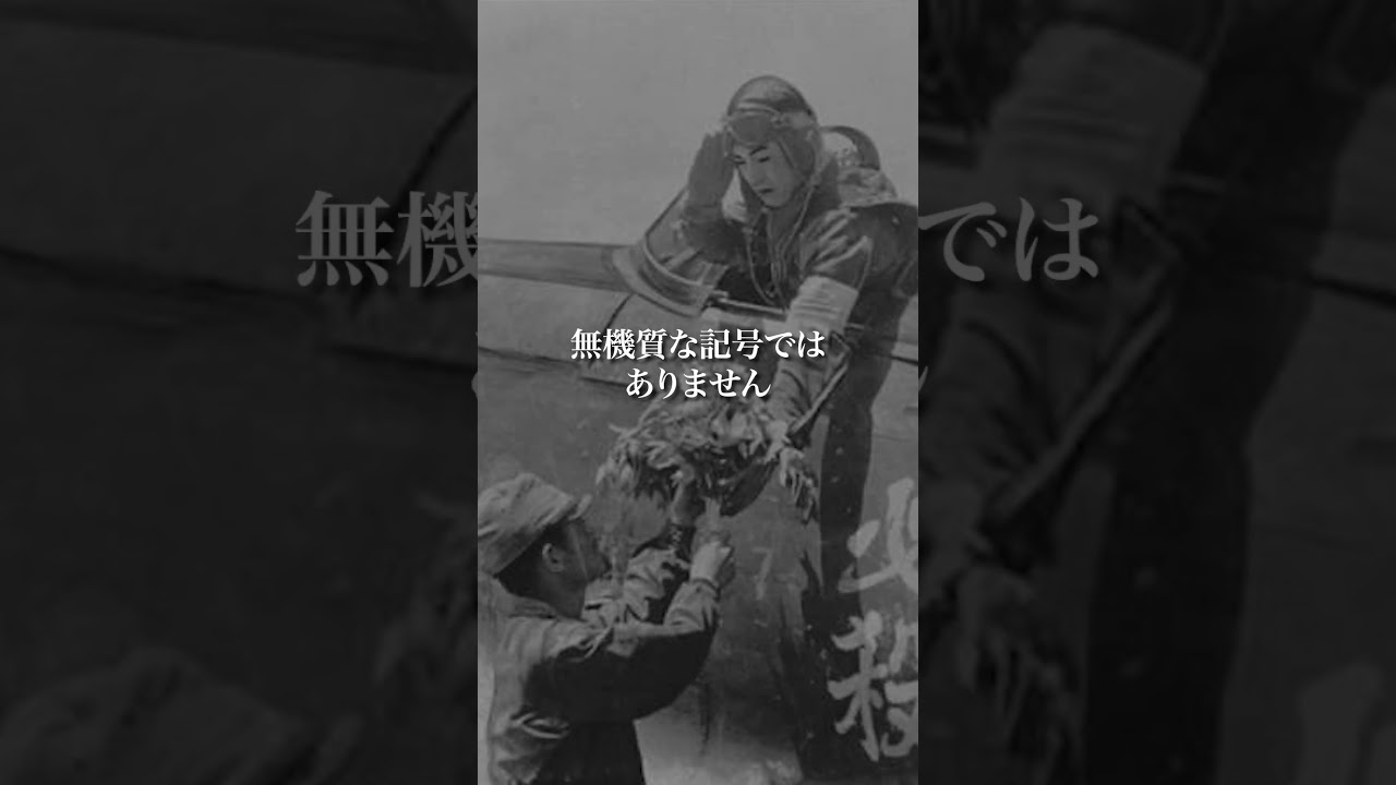 澄み渡った夏 【神風特攻隊の遺書】 #shorts