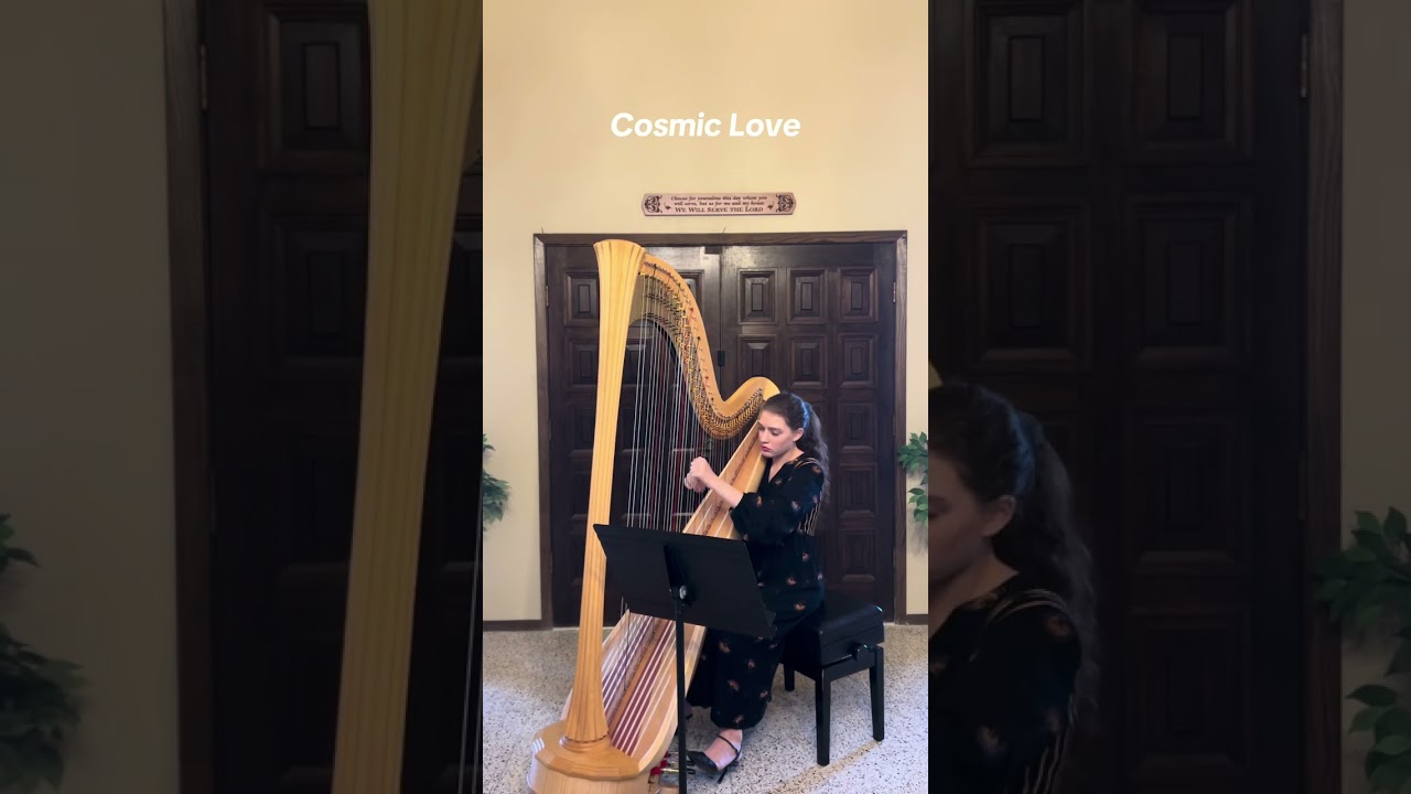 Promotional video thumbnail 1 for Madeleine Restaino Harpist