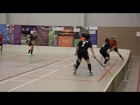 Naiset 17.1.2015 Joutsa - video 1/4