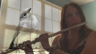 Songbird (Christine McVie arr Eva Cassidy) - Serendipity on Flute