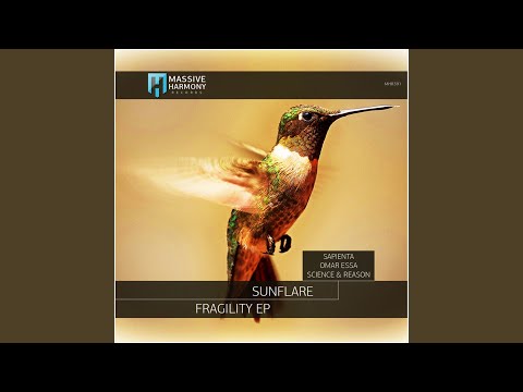 Fragility (Science & Reason Remix)