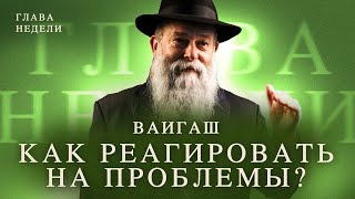 Глава недели Ваигаш. Как реагировать на свои проблемы и проблемы других? Рав. Шмуэль Каминецкий