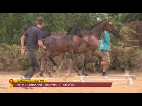 KN 14: HF v. Fürstenball / Belantis