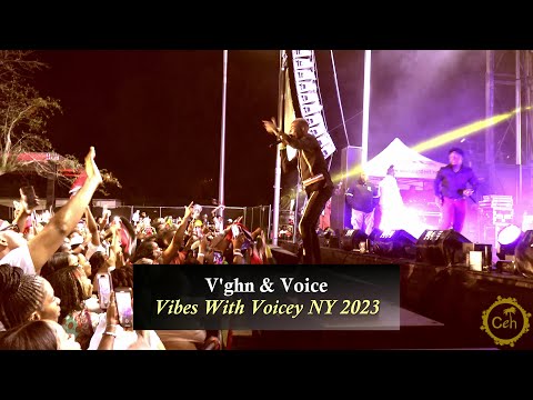 V'ghn & Voice At Vibes With Voicey 2023