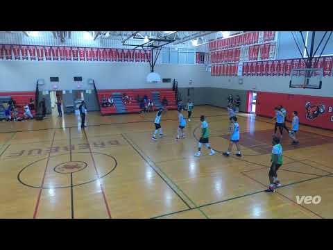 Raccoons 3rd (40) Tier 11 - SEMI FINALS Tiger Hoodz 2nd  (46) - tcbl sunday