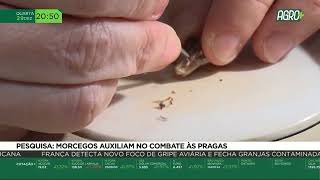 Miniatura do vídeo