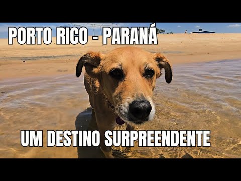 VINTAJANDO 54 - PORTO RICO - Caribe Paranaense