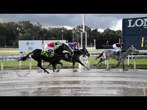 210627 c02 CAFE ALEGRIA