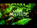 A Vocação De Mateus Imersão De Adoração Instrumental 1 Hora De Oração E Meditação