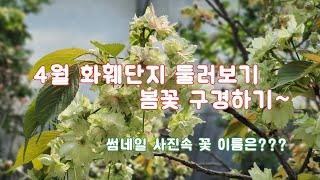 4월 화훼단지에는 어떤 꽃들이 있을까요?