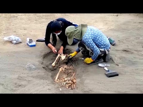 Largest Site of Child Sacrifices in the World Found in Peru