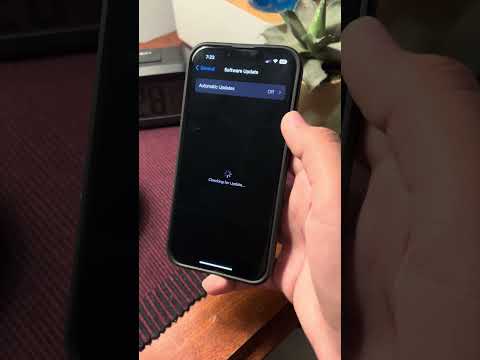 iOS 17 Beta 8 update on iPhone 13