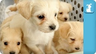 Source: YouTube | Via: Tastefully Offensive