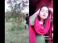 Roj Roj Tum Jo Sanam Aisa Karoge