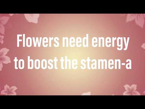 download lagu mp3 mp4 Flower Puns Love, download lagu Flower Puns Love gratis, unduh video klip Flower Puns Love