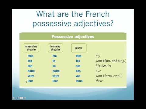 Possessive Adjectives in French