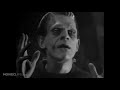 Frankenstein (5/8) Movie CLIP - The Monster Subdued (1931) HD