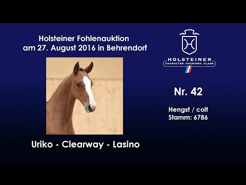Holsteiner Fohlenauktion 2016 in Behrendorf - Nr. 42 v. Uriko - Clearway