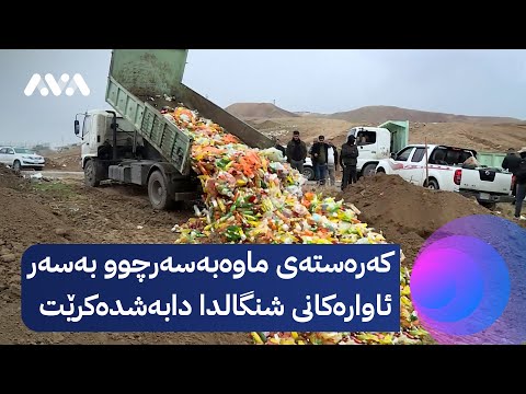 سەیری ڤیدیۆکە بکەن .. کەرەستەی ماوەبەسەرچوو بەسەر ئاوارەکانی شنگالدا دابەشدەکرێت