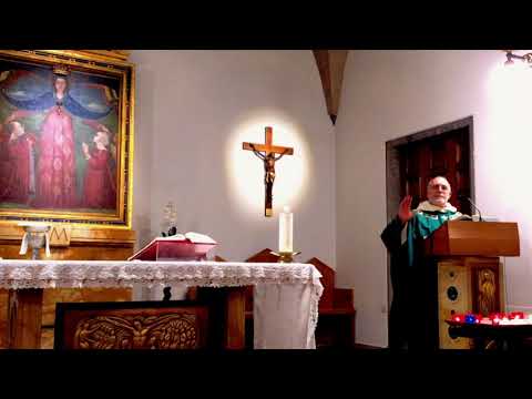 Guarigione del cieco -- Omelia su Lc 18,35-43 – p.G. Paparone op