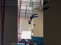 Loan Star Circus School Coaches Beautiful Natalia Circus Art Arial Act Arial Straps