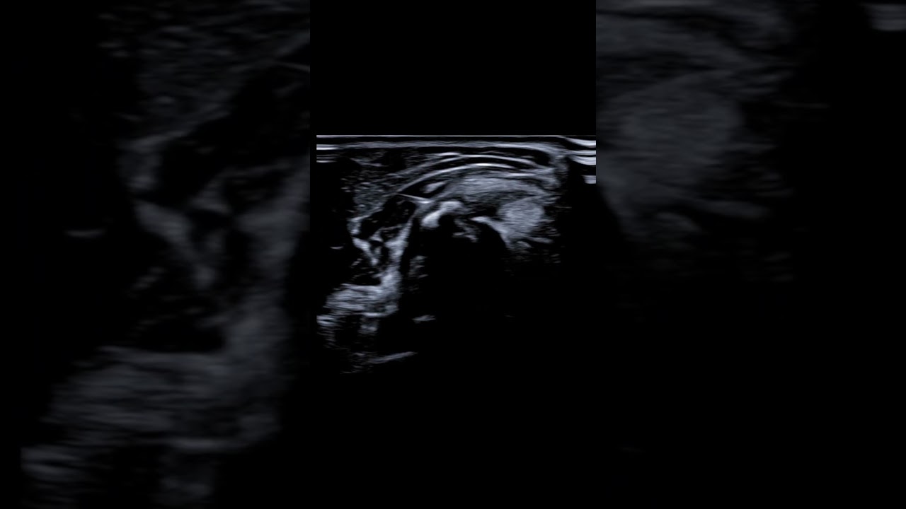 Salvatore Andrea Failla-6