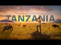Tanzania My Secret Serengeti Explorer Safari Wildebeest Migration
