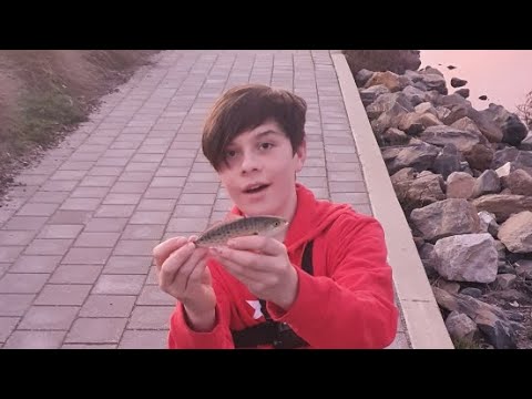 Adelaide Fishing (Short clip Catches Compilation) -Ep 2