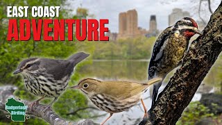 A Full Day of Birding and Exploring New York and New Jersey!