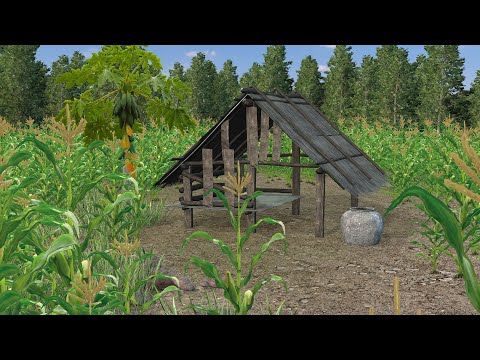 Iclone8.2 create a Terrain with corn tree