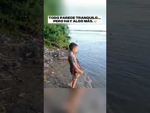 Niño limpia los dientes a un cocodrilo y deja a todos sin palabras