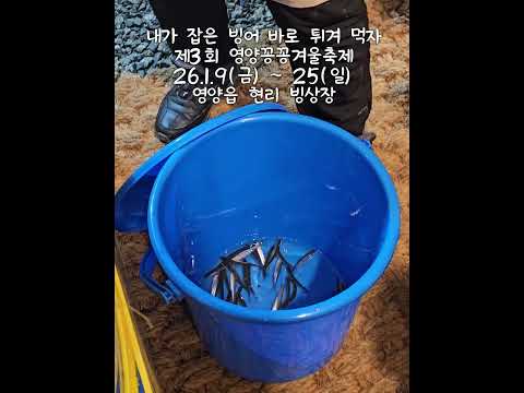 [영양군] 맛있다 진짜 맛있다 (빙어낚시,얼음낚시)