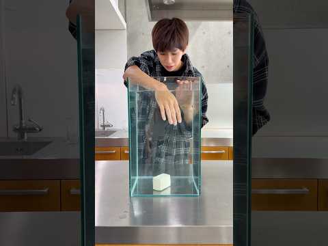 これ掴める？？？