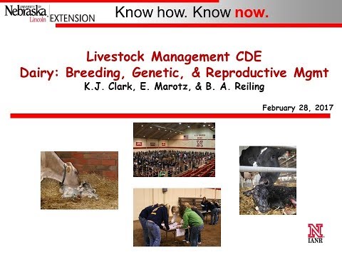 Livestock Mgmt CDE Webinar: Dairy (Breeding, Genetic, & Reproductive Management)