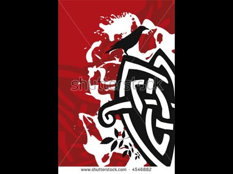 danny green THE IRISH MAN