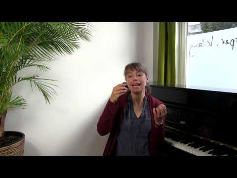 38. STIMMSINN - IA-Jodler